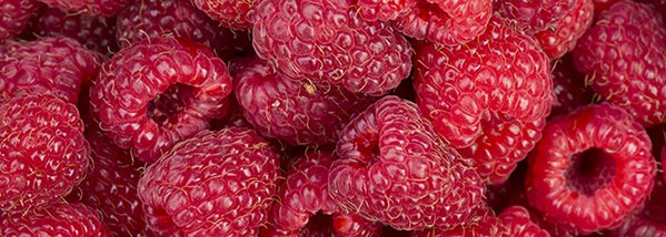 Was ist die Textur von Lebensmitteln und wie wird sie gemessen