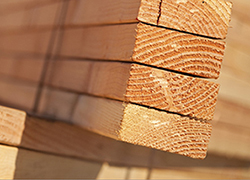 Lösungen für Holzprüfungen