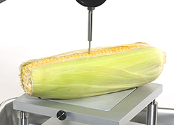 Probenhalter und Befestigungen für die Analyse von Obst und Gemüse