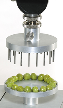 Probenhalter und Befestigungen für die Analyse von Obst und Gemüse